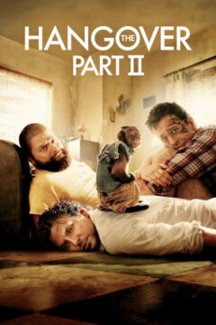 The Hangover 2 2011 film online