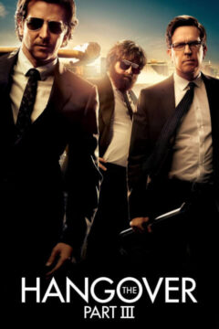 The Hangover 3 2013 film online